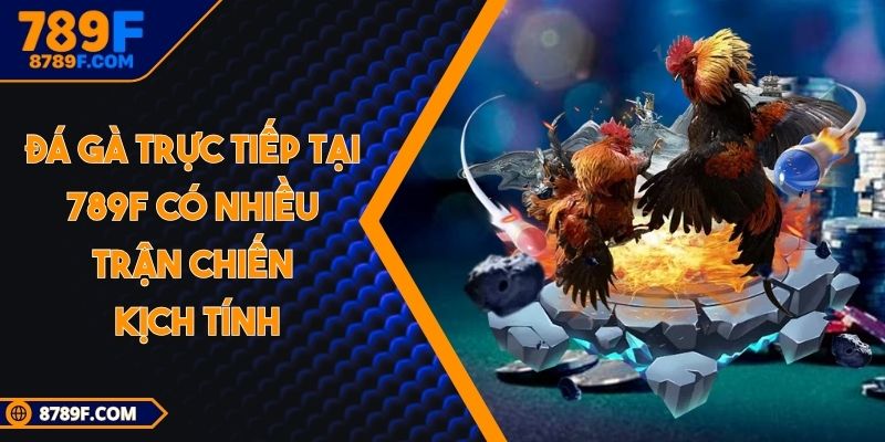 Đá gà trực tiếp tại 789F có nhiều trận chiến kịch tính