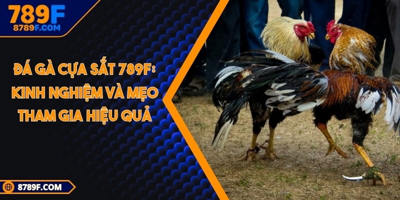 Đá gà cựa sắt