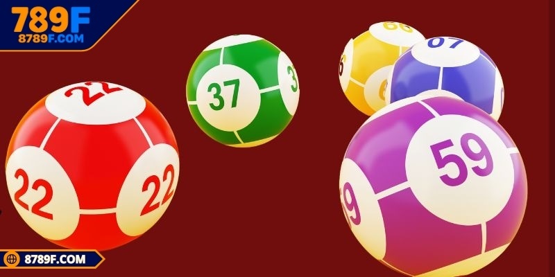 Nhập số lô, đề mà mình lựa chọn để tham gia cược
